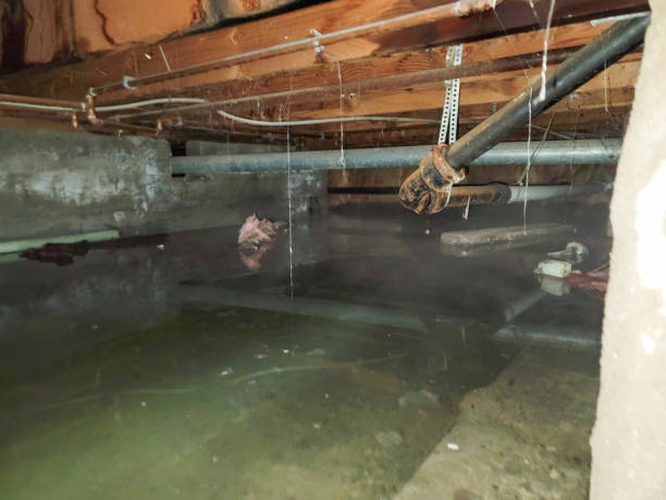Best Residential water damage restoration  in Conway, FL
