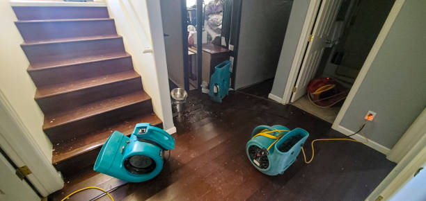 Best 24/7 water damage repair  in Conway, FL