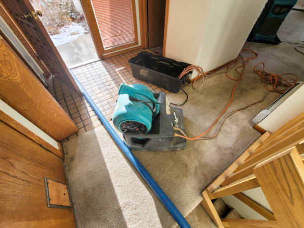 Best Water damage restoration cost  in Conway, FL