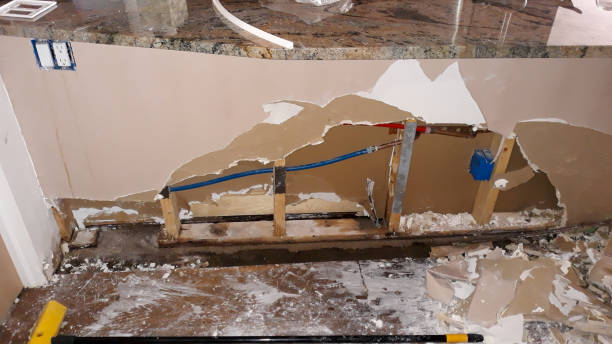 Best Flood damage cleanup  in Conway, FL