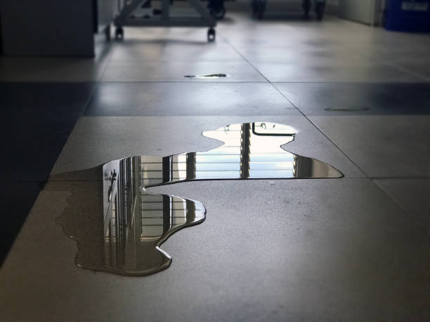 Best Professional water damage repair  in Conway, FL