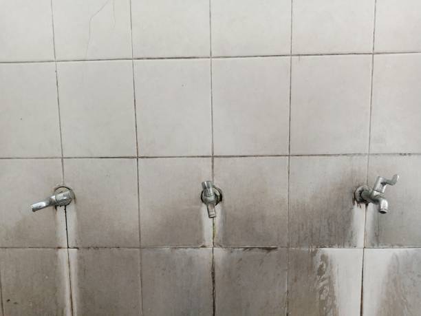 Best Ceiling water damage repair  in Conway, FL