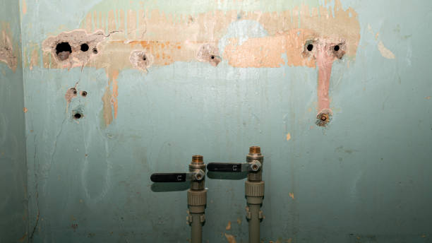 Best Sewage cleanup and water damage restoration  in Conway, FL