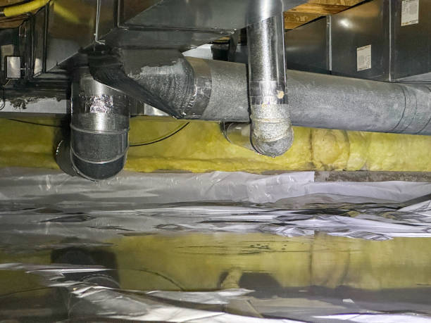 Best Water damage contractors near me  in Conway, FL