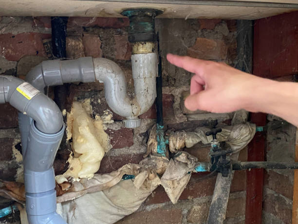 Water damage restoration mold remediation in FL