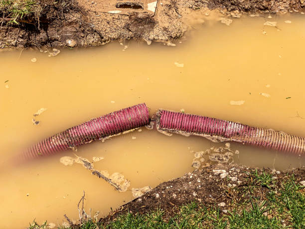 Best Local water damage restoration  in Conway, FL