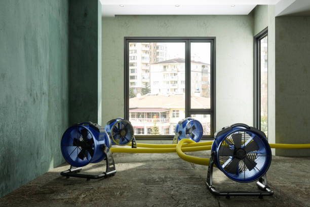 Best Carpet water damage restoration  in Conway, FL
