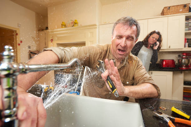 Best Mold removal after water damage  in Conway, FL